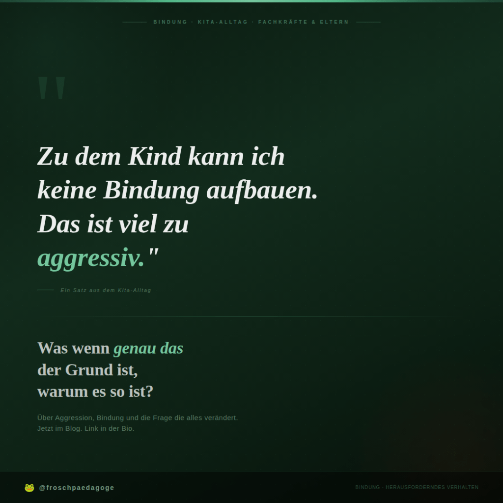 „Zu dem Kind kann ich keine Bindung aufbauen – das ist viel zu aggressiv.“